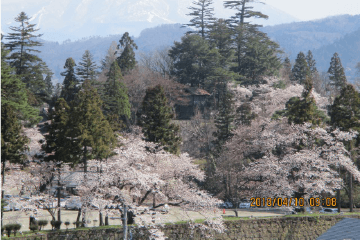 セレッソとは？