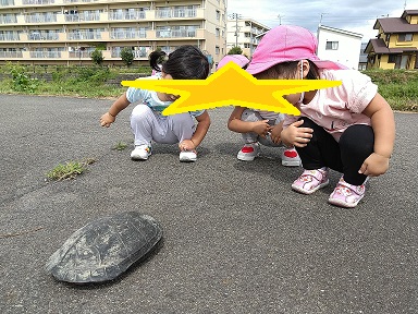 秋が近づいてきました